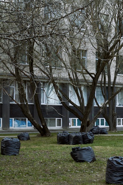 A row of several black rubbish bags filled with waste are placed on a grassy area in front of a multi-storey residential building. The bags are tightly sealed with visible creases and gathered top sections, positioned unevenly across the lawn. Behind the bags, there are two large, leafless trees with dark, textured bark and sprawling branches that extend across the scene, partially obscuring the building's facade. The building features a combination of grey and black external surfaces, with large windows on the lower floors, some of which have white frames and partially visible curtains. The upper floors have a light-colored brick exterior with additional windows. The environment appears to be an exterior communal area or garden space, and the scene is illuminated by natural daylight, suggesting an overcast sky. The presence of the bags indicates an activity related to waste collection or external rubbish removal, with [COMPANY_NAME] or similar services potentially involved in private or independent rubbish disposal activities in this urban setting.